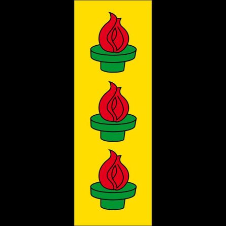 Wetzikon ZH flag